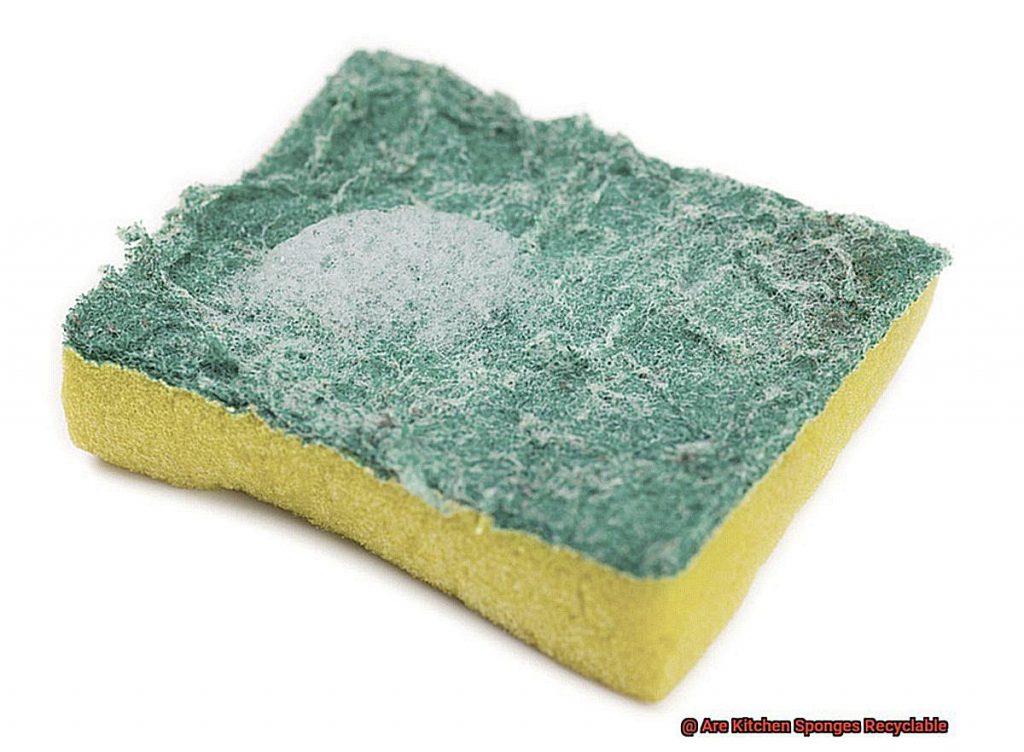Are Kitchen Sponges Recyclable F7063bdb7f 1024x752 
